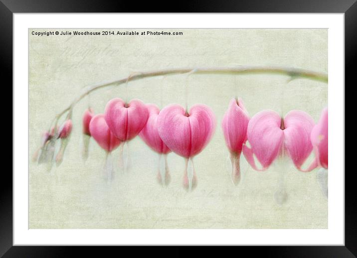 Bleeding Hearts Framed Mounted Print by Julie Woodhouse