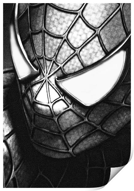 My friendly neighbourhood spiderman Print by Rob Toombs