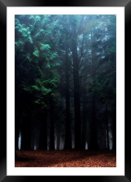 Amoungst the trees Framed Mounted Print by Chris Manfield