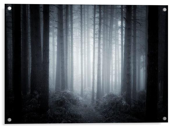 Darkwood Acrylic by Chris Manfield