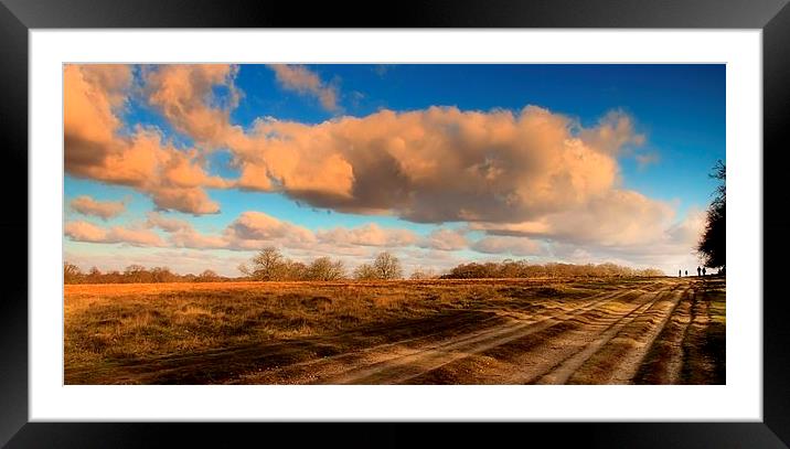 In the Distance Framed Mounted Print by Chris Manfield