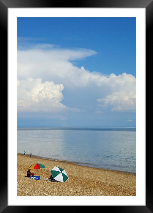 Sunny Day Framed Mounted Print by