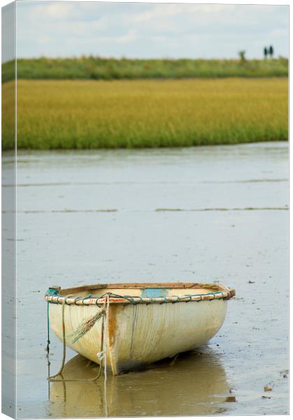 Low Water Canvas Print by