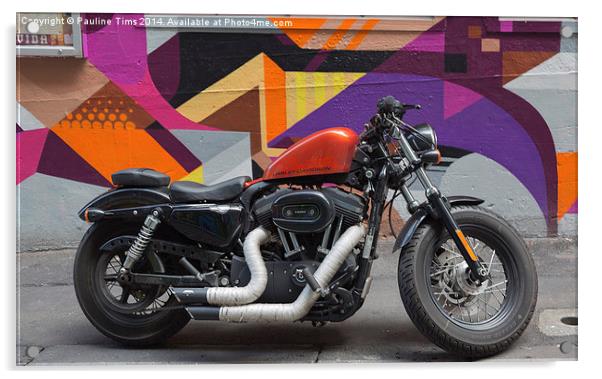 Harley Davidson  on Hosier Lane Acrylic by Pauline Tims
