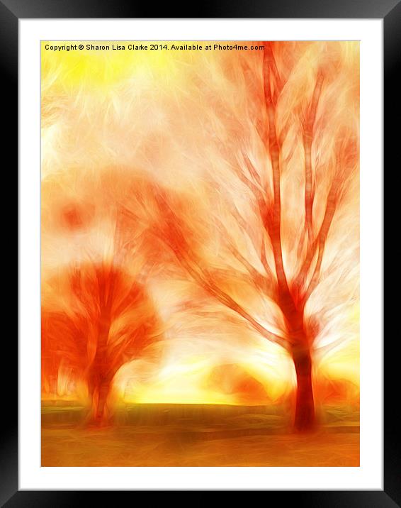 Fire trees Framed Mounted Print by Sharon Lisa Clarke