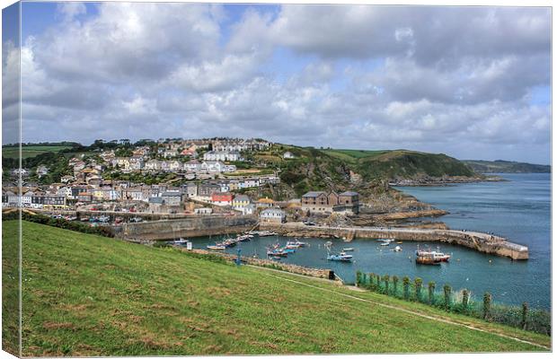 View over Mevagissey Harbour Canvas Print by Diane Griffiths