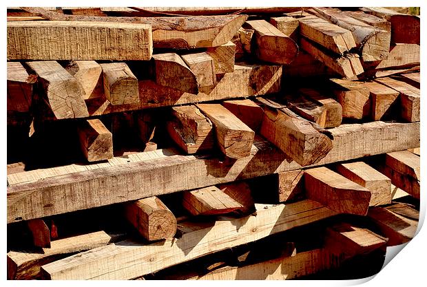 Scrap timber stacked up Print by Frank Irwin