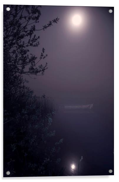 Moonlight reflection Acrylic by Steve Hardiman