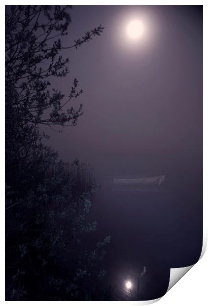 Moonlight reflection Print by Steve Hardiman
