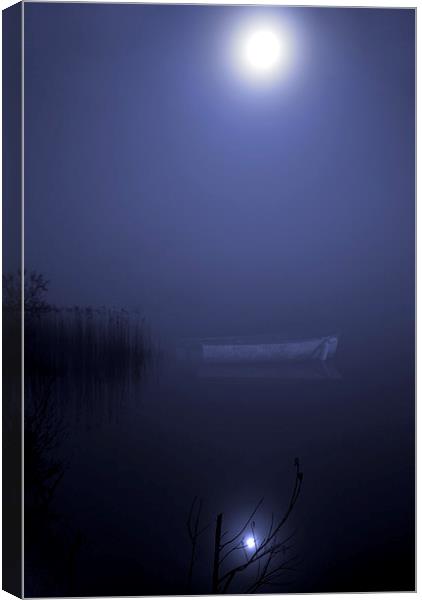 Moonlight Serenade Canvas Print by Steve Hardiman