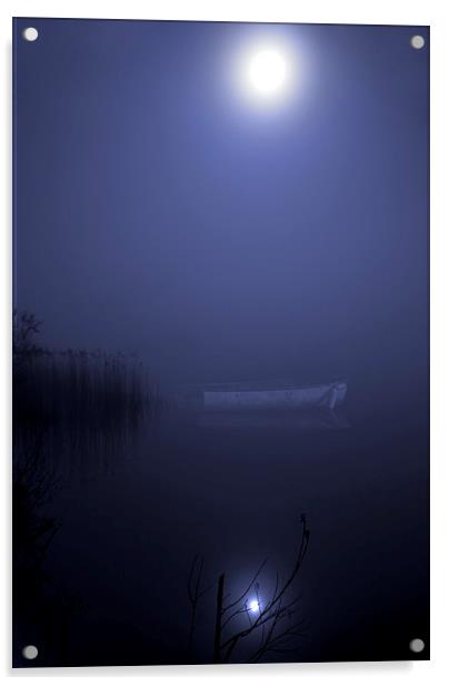 Moonlight Serenade Acrylic by Steve Hardiman