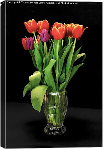 Beautiful Tulips in a glass vase Canvas Print by Thanet Photos