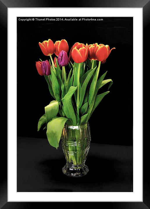 Beautiful Tulips in a glass vase Framed Mounted Print by Thanet Photos