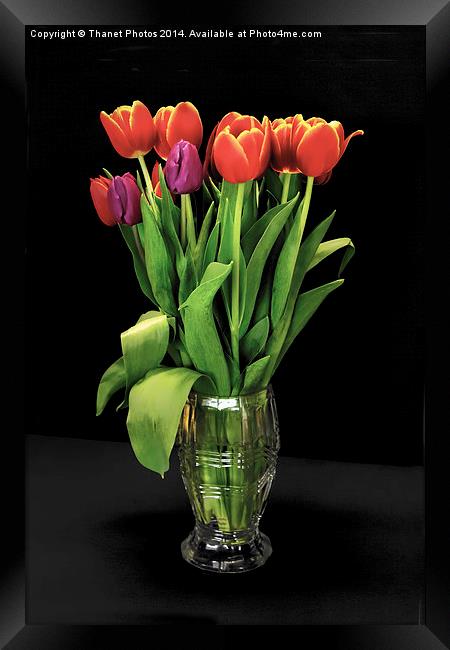 Beautiful Tulips in a glass vase Framed Print by Thanet Photos