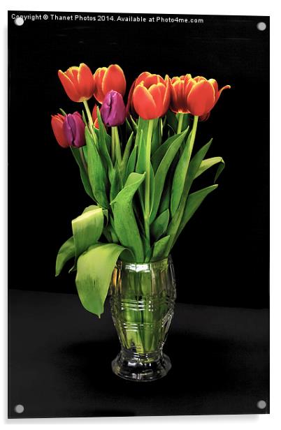 Beautiful Tulips in a glass vase Acrylic by Thanet Photos