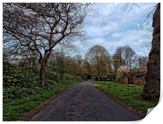 normanston drive Print by chrissy woodhouse