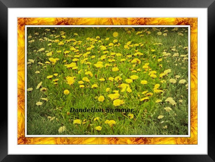 Dandelion Summer. Framed Mounted Print by Heather Goodwin