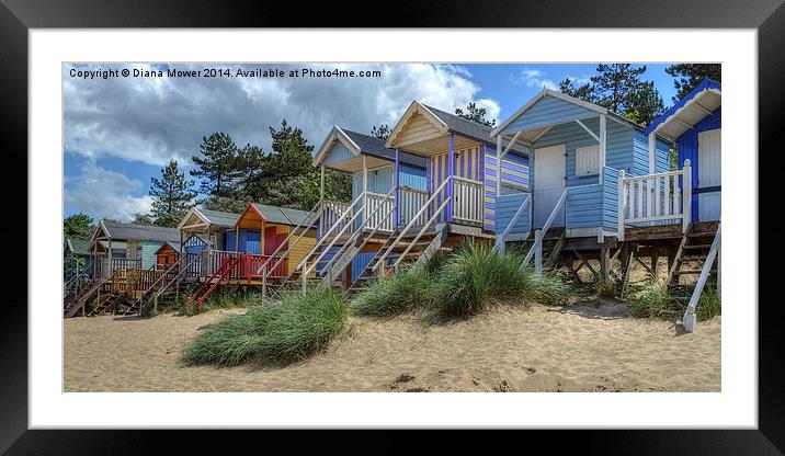 Beach Huts Wells Framed Mounted Print by Diana Mower