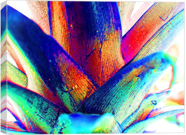 Pineapple abstract extreme Canvas Print by Robert Gipson