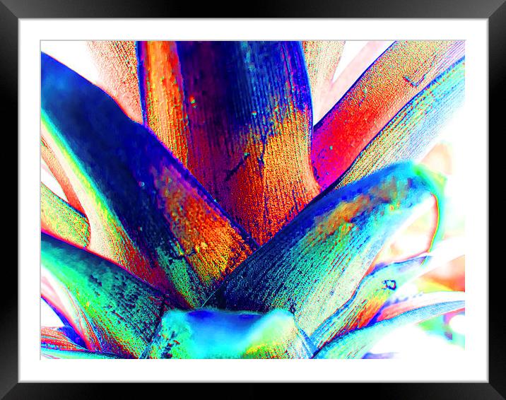 Pineapple abstract extreme Framed Mounted Print by Robert Gipson