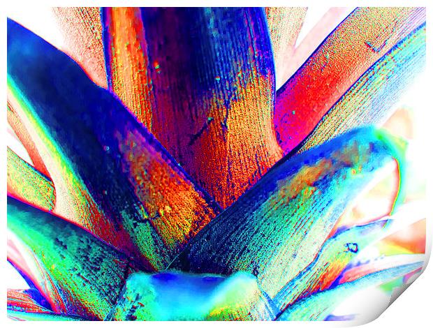 Pineapple abstract extreme Print by Robert Gipson