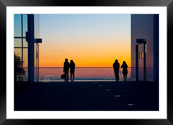 Silhouette Gradient at Kasai RinkaiKoen. Framed Mounted Print by Chris Gilloch