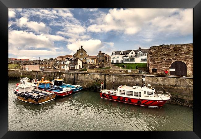 Seahouses Framed Print by Northeast Images