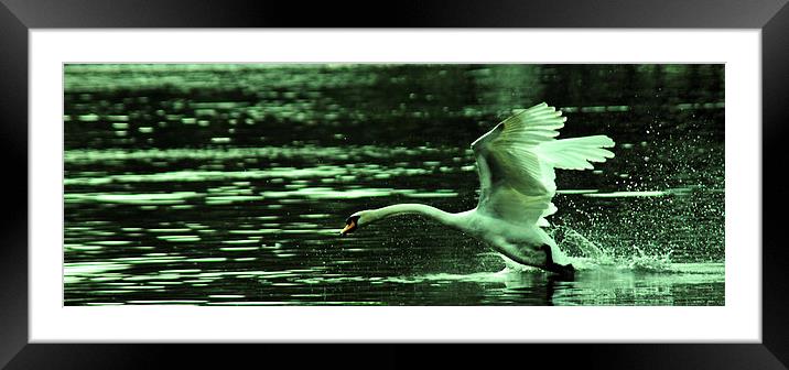 take off Framed Mounted Print by Doug McRae
