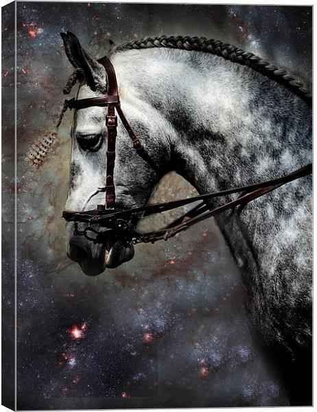 The Horse Among the Stars Canvas Print by Jenny Rainbow
