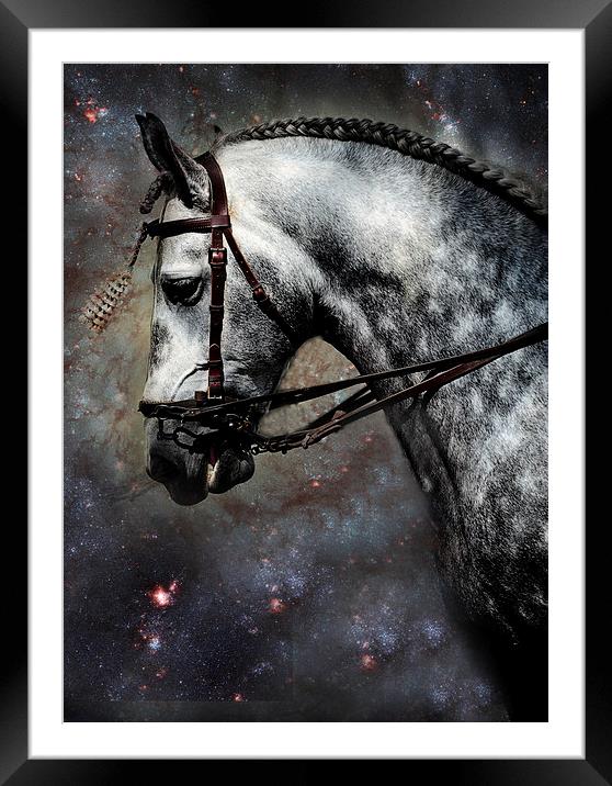The Horse Among the Stars Framed Mounted Print by Jenny Rainbow