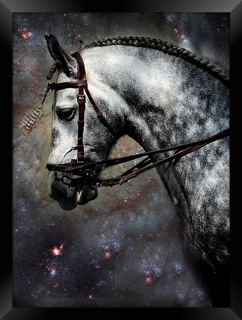 The Horse Among the Stars Framed Print by Jenny Rainbow