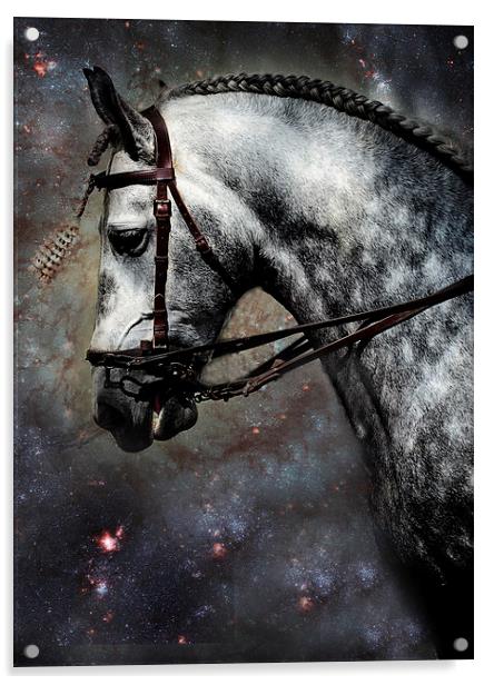The Horse Among the Stars Acrylic by Jenny Rainbow
