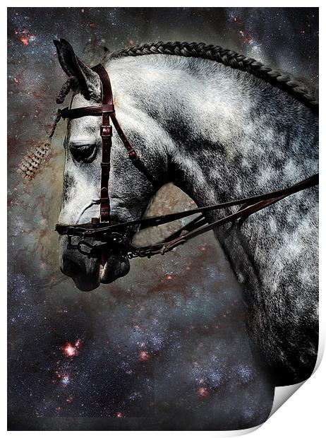 The Horse Among the Stars Print by Jenny Rainbow