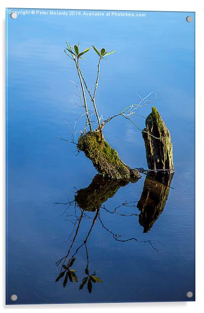 Reflections Acrylic by Peter Mclardy