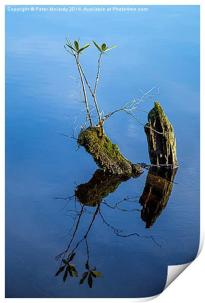 Reflections Print by Peter Mclardy