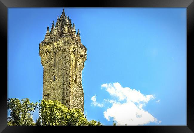 National Wallace Monument Stirling Framed Print by Tylie Duff Photo Art