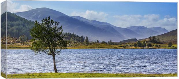 Loch Sealbhanach Canvas Print by Mike Stephen