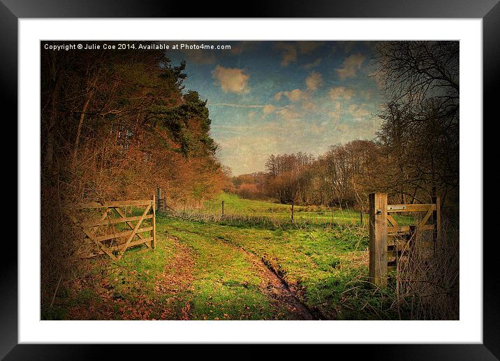 Open Gates Framed Mounted Print by Julie Coe