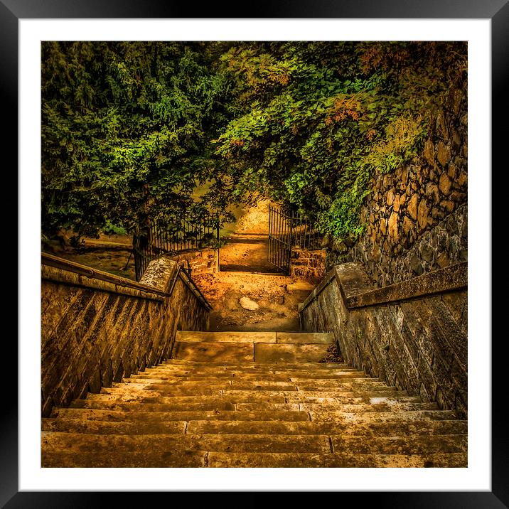 The Secret Gate Framed Mounted Print by Tylie Duff Photo Art