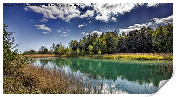 Fowlmead country park Print by Thanet Photos
