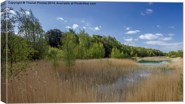 Fowlmead lake Canvas Print by Thanet Photos