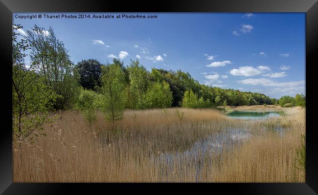 Fowlmead lake Framed Print by Thanet Photos