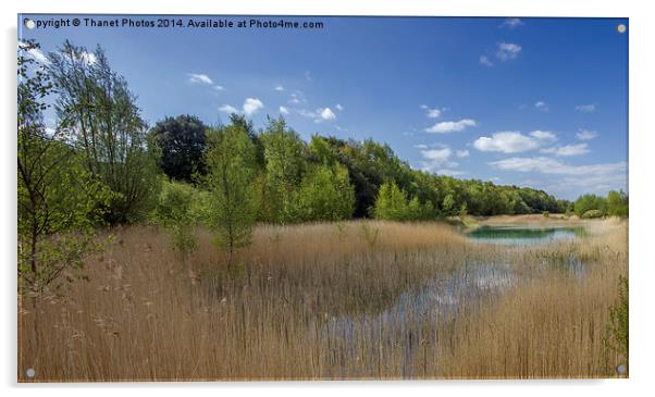 Fowlmead lake Acrylic by Thanet Photos