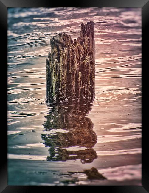 Stick in the Mud Framed Print by Fraser Hetherington