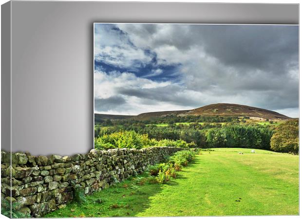 Out of bounds, Yorkshire wall Canvas Print by Robert Gipson