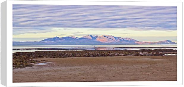 A view of Arran Canvas Print by jane dickie