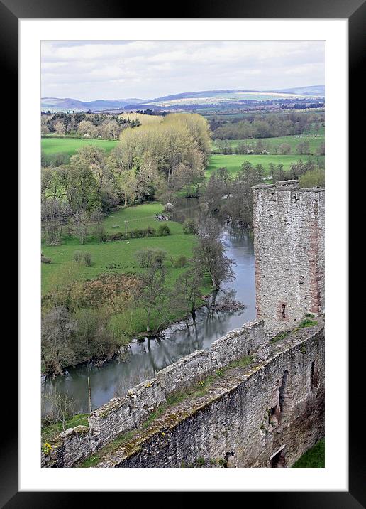 River Teme at Ludlow Castle Framed Mounted Print by Tony Murtagh