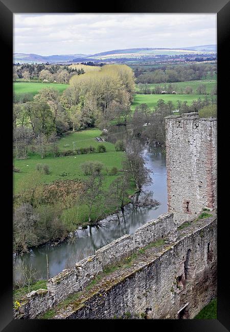 River Teme at Ludlow Castle Framed Print by Tony Murtagh