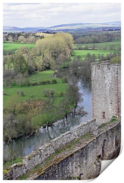 River Teme at Ludlow Castle Print by Tony Murtagh