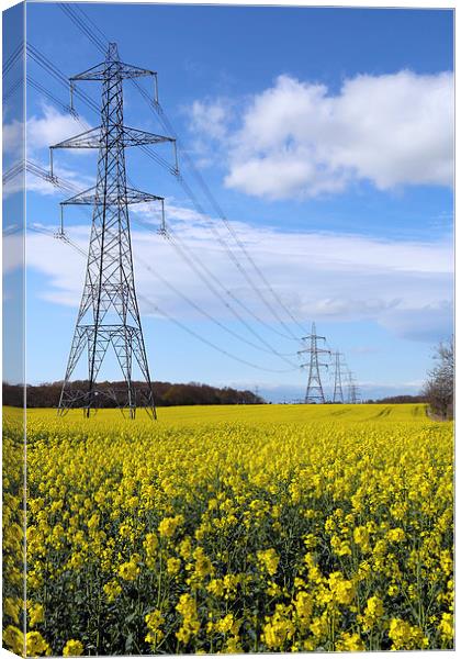 Pylons in Rapeseed Canvas Print by John Atkins